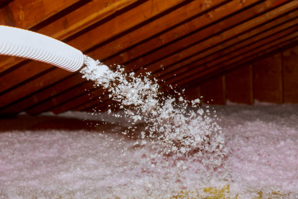 Best Types of Insulation in Port Lavaca, TX
