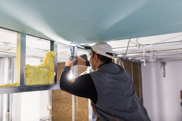 Best Residential Insulation in Port Lavaca, TX